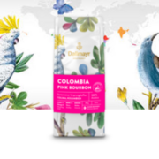Umění pražení kávy Dallmayr – Colombia&nbsp;Pink&nbsp;Bourbon