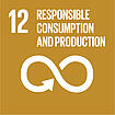 Icon SDG 12